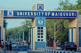 UNIMAID Cut Off Mark 2024/2025 [All Courses]