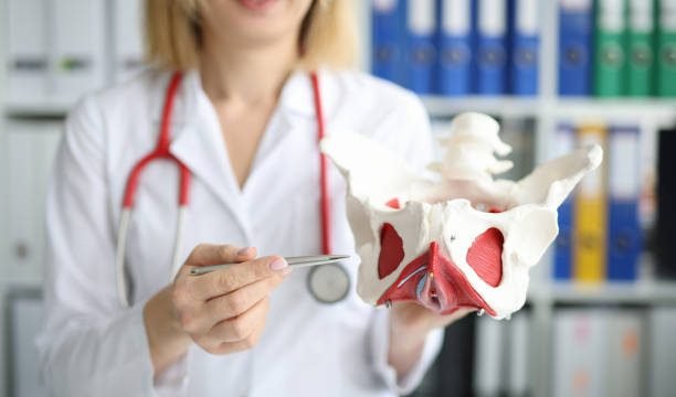 30 Careers Related to Anatomy