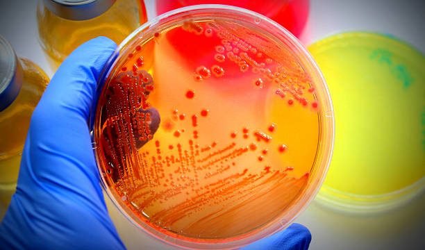 40 Careers Related to Microbiology